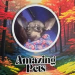Tracy Ann Beres Spires - @spritensassy - Instagram