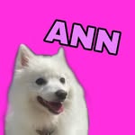 𝔸𝕟𝕟💗 - @ann._.spitz - Instagram
