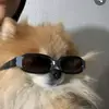 шпиц - @anna._.spitz - TikTok