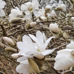 Ann Spooner - Facebook