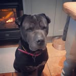Lowrie Ann Spooner - @lowrispooner - Instagram
