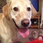 Sally Ann Spooner - @spex_675 - Instagram