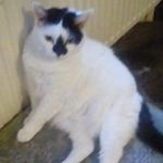wendy ann spooner - @wendyannspooner - Instagram
