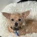 Anne Spry - Facebook