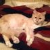 Ann Squires - Facebook
