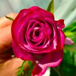 Ann Staats - @ann_bavosa_staats - Instagram