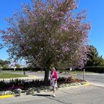 RoseAnn Bigler Stackhouse - @roseannstackhouse - Instagram