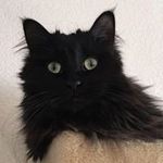 Ann Stadler - @annstadler - Instagram