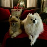 Mary Ann Stadler - @mr_ban_dito - Instagram