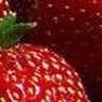 Ann stahl Lorenz - @annstahllorenz - Instagram