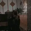 stahl_peach23 - @annstahl24 - TikTok