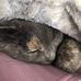 Ann Stallard - Facebook
