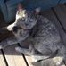Ann Stallard - Facebook