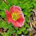 Ann Stallard - Facebook