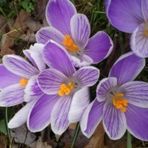 Ann Stambaugh - Facebook