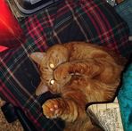 Stephanie Ann Stambaugh - Facebook