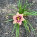 Anna Stamm - Facebook