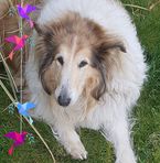 Ann Stamp - Facebook