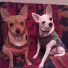 Lue Ann Stamps - @lue.ann.stamps - TikTok