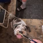 Elizabeth Ann stancil - @elizabethannstancil - Instagram