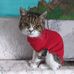 Ann Standish - Facebook