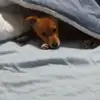 Anna Standley - @anna.standley - TikTok