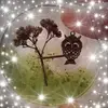 Anna Stanfield473 - @annastanfield473 - TikTok