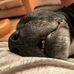 Anna Stanger - Facebook