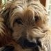 Ann Stanley - Facebook