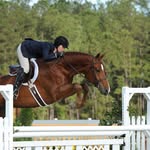 Ann & Sarah Stanton - @as_horse_show_photo - Instagram