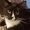 Anne Staples - @anne.staples6 - TikTok