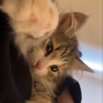 Star Ann - Facebook