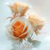 Anna Starcheys - Facebook