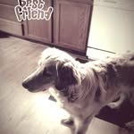skyla ann starcher - @skyla_ann_ - Instagram
