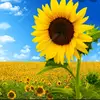 Ann Stark - @annstark3582 - TikTok