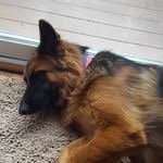 Ann Steele - @asteele3989 - Instagram