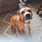 Ann Steele - @annsteele64 - Instagram