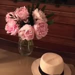Ann Steele - @aannsteele - Instagram