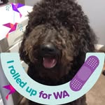 Ann Steer - @ann.steer.560 - Instagram