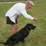 Ann Steer - @ann.steer - Instagram