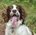 Ann Stephenson - Facebook