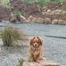 Ann Stocker - Facebook