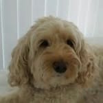 Ann Strong - @annstrong58 - Instagram