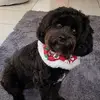 Ann Strong - @ann.strong74 - TikTok