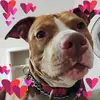 Beth Ann Suckow - @beth.ann.suckow - TikTok