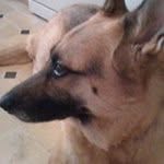 Ann Sue-Patt - @annsuepatt - Instagram