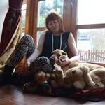 Ann Sugrue - @annsugrue45 - Instagram