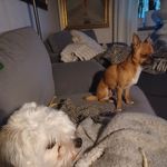 Ann-Louise Sundström - @annlouisesundstrom47 - Instagram