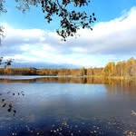 Ann Sundström - @sundstrom801 - Instagram