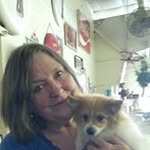 Ann Sweatt - @ann_sweatt - Instagram